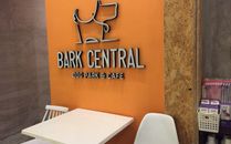 Bark Central photo 4