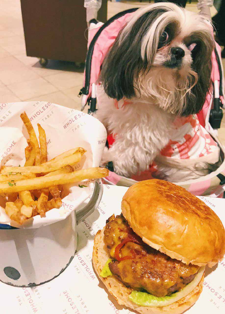 dog-posting-with-burgers-and-fries