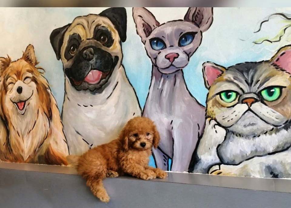 dog-with-pets-mural