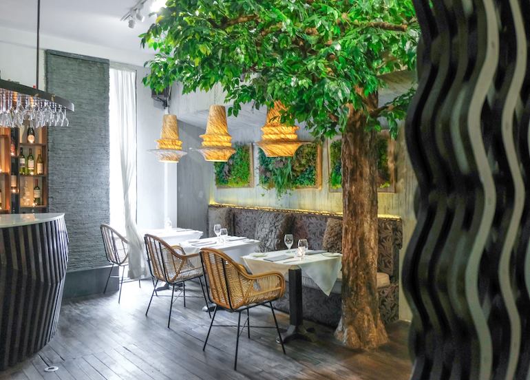 Ninyo Fusion Cuisine interior featuring artificial trees and furniture