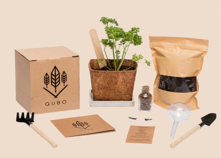 qubo DIY plants