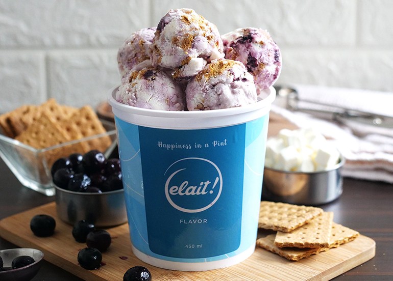 elait ice cream blueberry