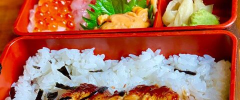 Where to Get the Best Bento Boxes in the Metro